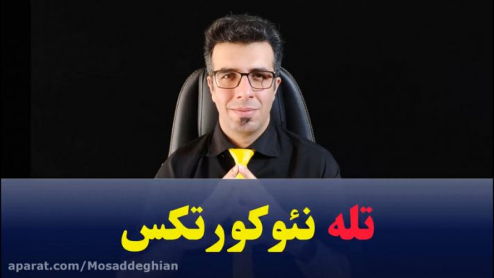 تله نئوکورتکس در بورس